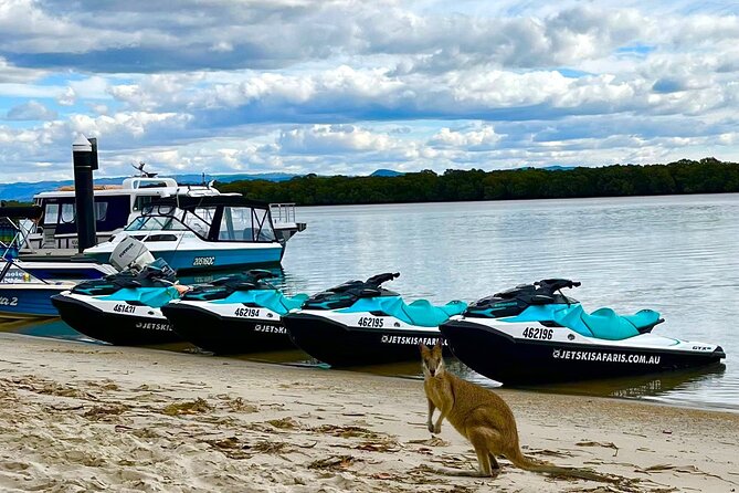 1.5 hr Jet Ski Safari tour to South Stradbroke Island! - South Stradbroke Island Meets Tipplers: The Stop That Makes the Safari Worth It