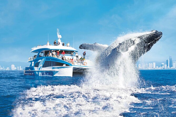 1.5 hr Jet Ski Safari tour to South Stradbroke Island! - Who This Tour Suits Best (and Who Might Feel Mismatched)