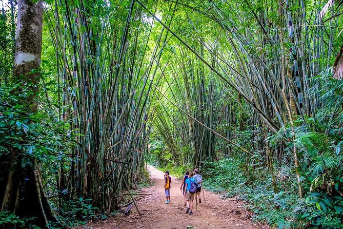 1 Day Khao Sok Jungle Safari and 2 Days Cheow Lan Lake Explorer from Krabi - Wat Bang Riang: a hilltop temple stop that adds local texture