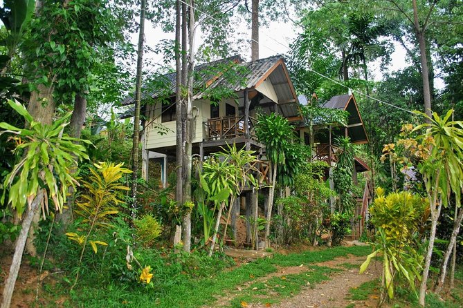 1 Day Khao Sok Jungle Safari and 2 Days Cheow Lan Lake Explorer from Krabi - Inside Khao Sok National Park: hiking, river time, and wildlife with a guide