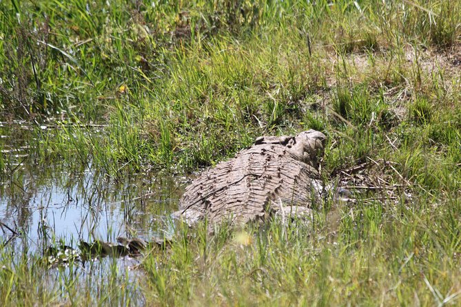 1 Day Safari to Akagera national park-Big5 Safari - Why Akagera in one day is a smart move