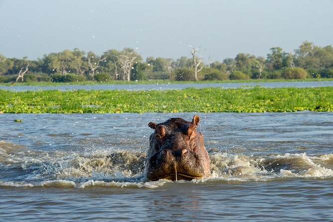 1-Day Selous (Nyerere National Park) Fly-In Safari from Zanzibar - Making It Comfortable: Practical Things That Matter on a 10-Hour Safari Day
