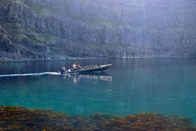 1 Hour Iceland Nature and Wildlife RIB Small Group Guided Safari - Key Things to Know Before You Go