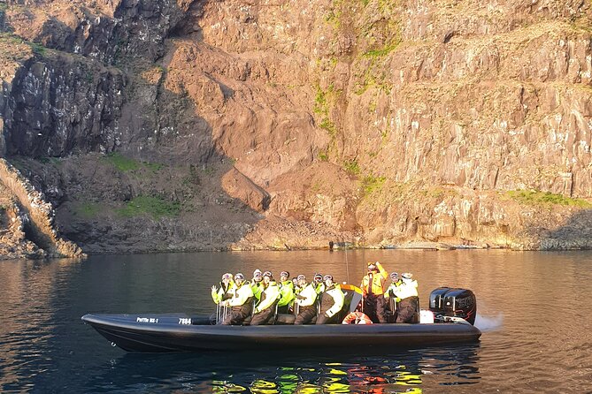 1 Hour Iceland Nature and Wildlife RIB Small Group Guided Safari - Meeting in Bakkagerði: Start Where the Action Is