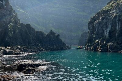 1 Hour Iceland Nature and Wildlife RIB Small Group Guided Safari - What You’ll See on the Coastal Run: Puffins First, Then the Rest