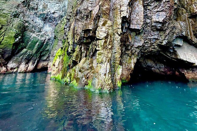 1 Hour Iceland Nature and Wildlife RIB Small Group Guided Safari - Guides, Gear, and the Small-Group Advantage