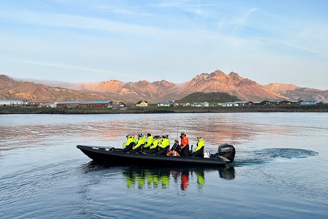 1 Hour Iceland Nature and Wildlife RIB Small Group Guided Safari - Who This Tour Fits Best (And Who Should Reconsider)