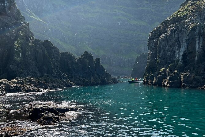 1 Hour Iceland Nature and Wildlife RIB Small Group Guided Safari - What You’ll See on the Coastal Run: Puffins First, Then the Rest