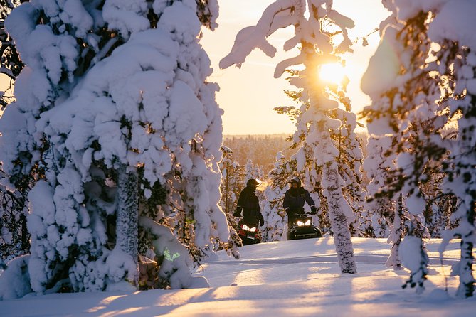 1-Hour Snowmobile Safari Experience - Safety Briefing First, Then Lapland Forest Time