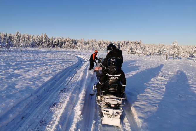 1-Hour Snowmobile Safari Experience - Snowmobile Setup: Shared Machines, Passenger Sleds, and License Impact