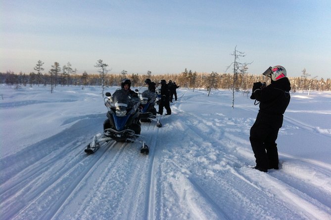 1-Hour Snowmobile Safari Experience - Practical Logistics: What to Bring, Where to Meet, What to Expect