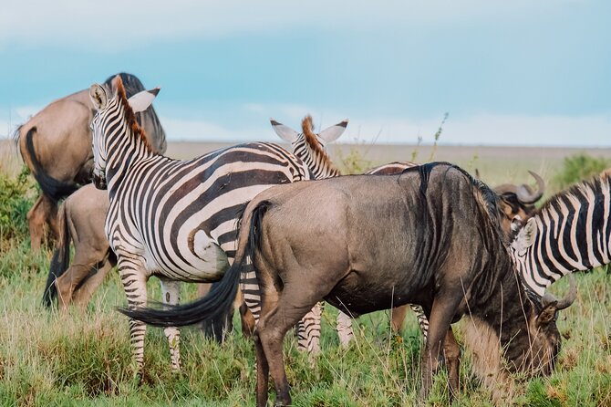 10-Day Serengeti Wildebeest Migration Safari from Arusha - Serengeti North (Days 2–4): built for the Great Migration drama