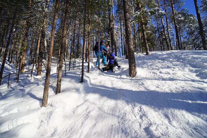10 km Authentic Husky Safari in the Taiga Forest – Family Kennel - Key Points at a Glance