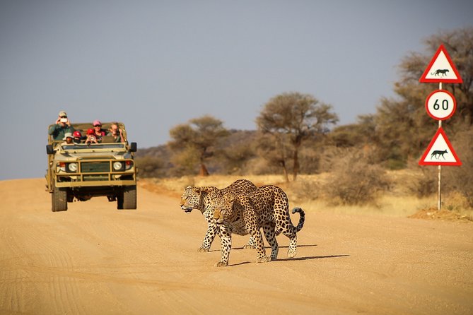 12 Day Classic Namibia Camping Safari - From Windhoek check-in to Mount Etjo rhinos and camp sunset