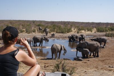 12 Day Classic Namibia Camping Safari - Etosha National Park waterholes: sunrise drives and one very busy night stop