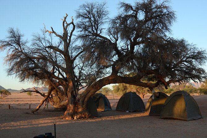 12 Day Classic Namibia Camping Safari - Namib Rand to Klein Aus: quieter desert trails and a sunset that feels earned