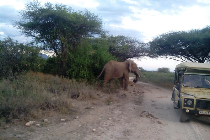 12 Days Kenya and Tanzania Budget Private Safari from Nairobi - Getting from Nairobi into safari mode fast
