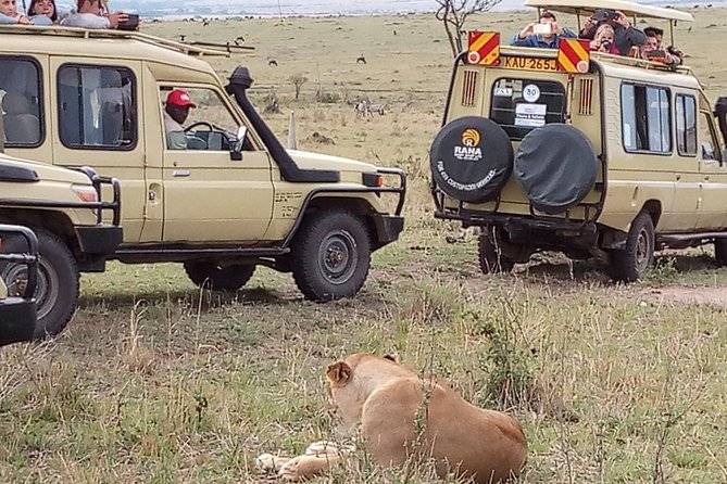 12 Days Kenya and Tanzania Budget Private Safari from Nairobi - Crossing to Serengeti: early start, visa processing, and a private chef