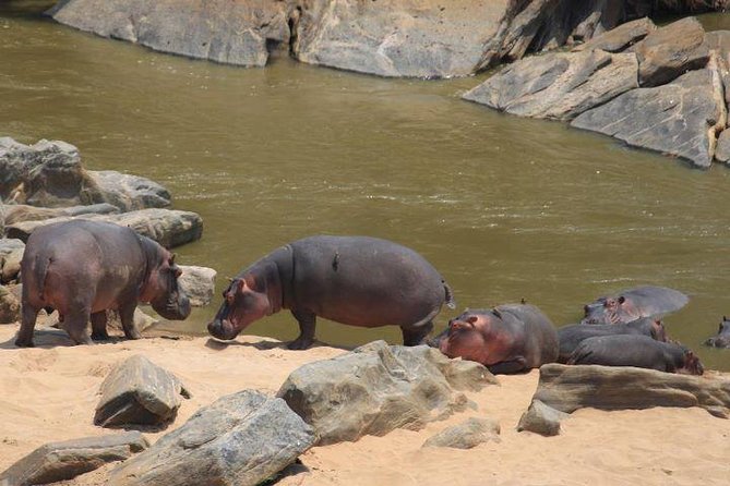 12 Days Kenya and Tanzania Budget Private Safari from Nairobi - Nairobi-to-Naivasha: Rift Valley viewpoints, Hell’s Gate, and a boat hour