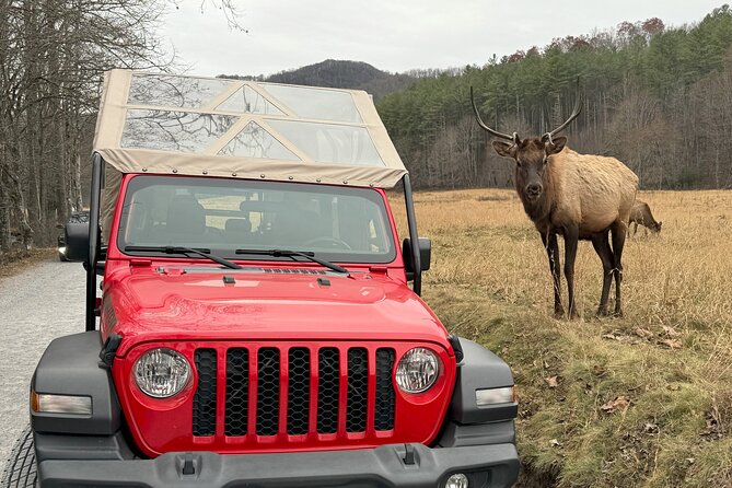 2.5-3 hour Smoky Mountain Cherokee Blue Ridge Parkway Safari tour - Great Smoky Mountains National Park: What You’ll See From the Jeep