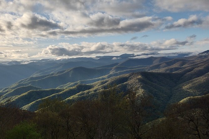 2.5-3 hour Smoky Mountain Cherokee Blue Ridge Parkway Safari tour - Stops Beyond the Overlooks: Church Visits, Waterfalls, and Photo-Friendly Timing