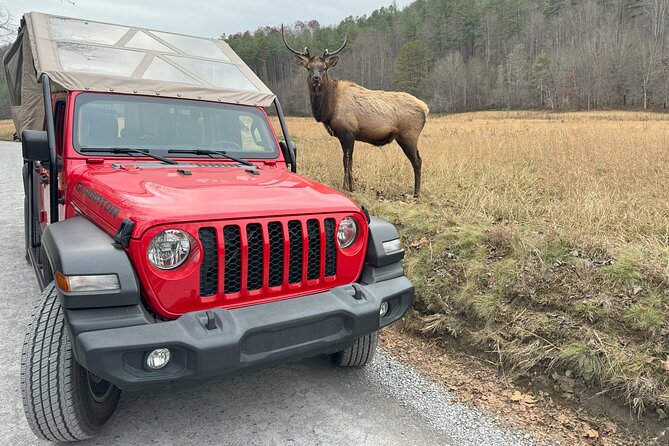 2.5-3 hour Smoky Mountain Cherokee Blue Ridge Parkway Safari tour - Who This Smoky Mountain Cherokee Jeep Safari Is Best For