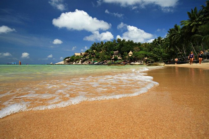 2.5 hours Pig Island-Virgin Islands & Snorkeling Jet Ski Safari - Key highlights you’ll feel right away