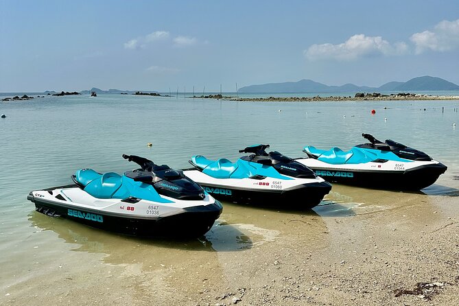 2.5 hours Pig Island-Virgin Islands & Snorkeling Jet Ski Safari - Pig Island etiquette: cute pigs, hungry moments, and your personal safety