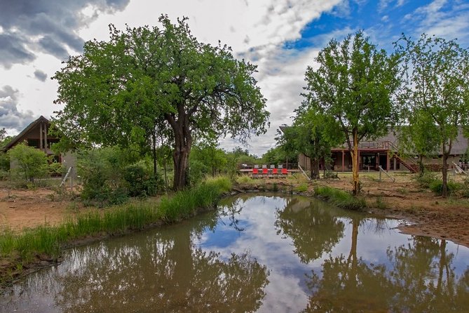2 Day 4 Star Pilanesberg Safari - Getting There from Johannesburg: Minivan Transfers and Safari-Ready Vehicles