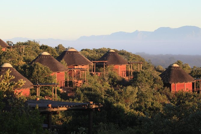 2 Day Safari Experience from Cape Town - Two days out of Cape Town: the road trip that sets the tone