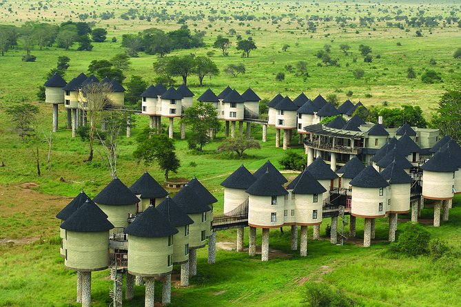 2-Day Safari in Taita Hills from Mombasa - What you’ll notice right away