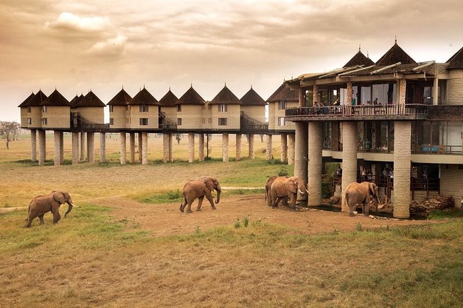 2-Day Safari in Taita Hills from Mombasa - Taita Hills Wildlife Sanctuary: the view changes, and the pace slows