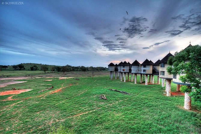 2-Day Safari in Taita Hills from Mombasa - Two reserves plus one unforgettable lodge night from Mombasa