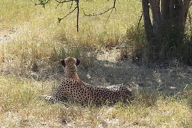 2 Day safari to Mikumi departure from Zanzibar - Zanzibar to Mikumi: why this 2-day escape feels real (not rushed)