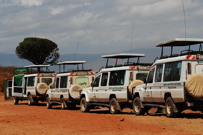 2 Day Serengeti Safari Experience from Mwanza - Why starting in Mwanza gives you a fast Serengeti rhythm