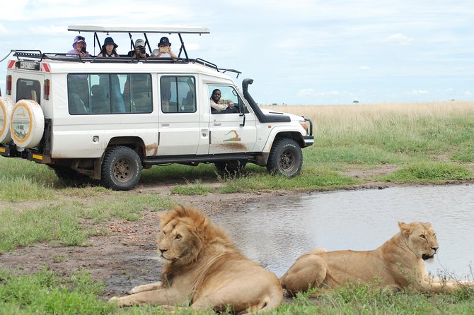 2 Day Serengeti Safari Experience from Mwanza - The overnight choice: camping or lodge inside the Serengeti