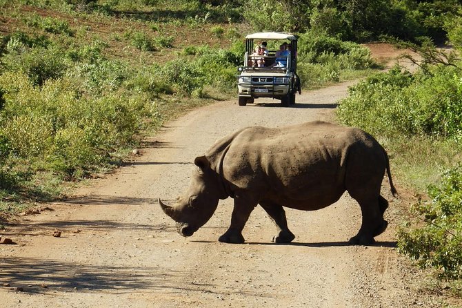 2 Day South African Wildlife Tour with 4x4 Safari from Cape Town - Oudtshoorn overnight: using the evening in the ostrich capital