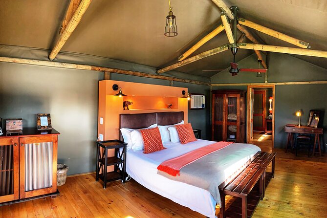 2 Day South African Wildlife Tour with 4x4 Safari from Cape Town - Route 62 return to Cape Town: turning the long drive into part of the fun