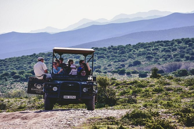 2 Day South African Wildlife Tour with 4x4 Safari from Cape Town - Guides, rangers, and the small-group vibe (max 19)