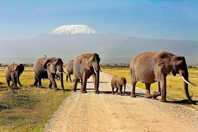 2 days group safari to Amboseli National park (Mon-Wed-Sat only) - The drive to Amboseli: savanna roads and quick orientation