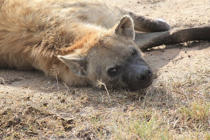 2 days group safari to Amboseli National park (Mon-Wed-Sat only) - Where you sleep: the lodge night and what full board gives you