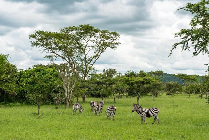 2 Days Popular Safari to Lake Mburo National Park - Key points before you go