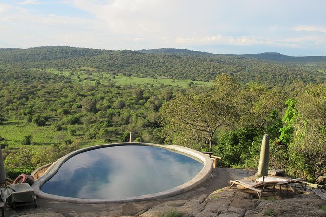 2 Days Popular Safari to Lake Mburo National Park - Day 2 Early Game Drive: Your Second Chance to See What You Missed