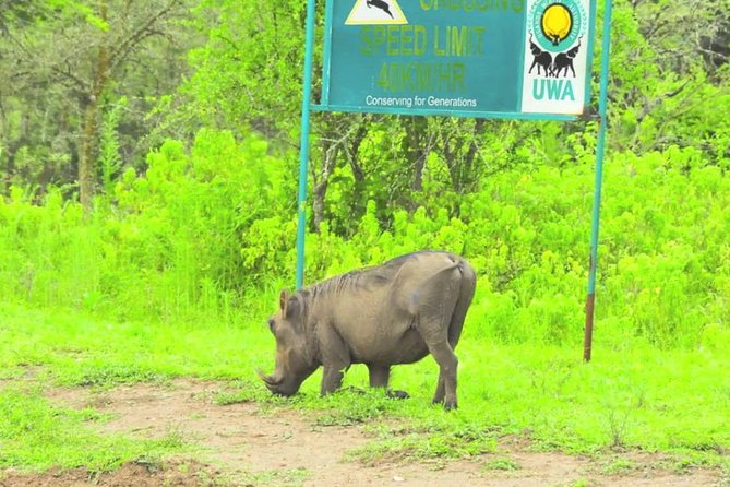 2 Days Popular Safari to Lake Mburo National Park - Price and Inclusions: What You’re Paying For (and What You’re Not)