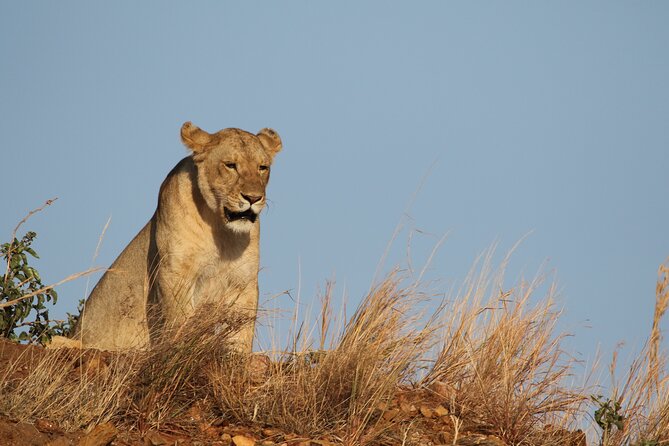 2 Days Tarangire and Ngorongoro Group Camping Safari - Price and value: how $550 makes sense for a tight two-day plan