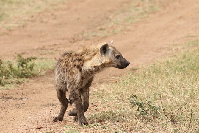 2 Days Tarangire and Ngorongoro Group Camping Safari - Camping near Ngorongoro: saved transit time and a more grounded safari rhythm