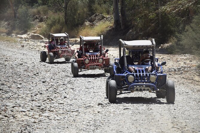2 Hours Buggy Safari Experience in the Mountains of Mijas with Guide - Where the views come from: groves, viewpoint pauses, and photo stops