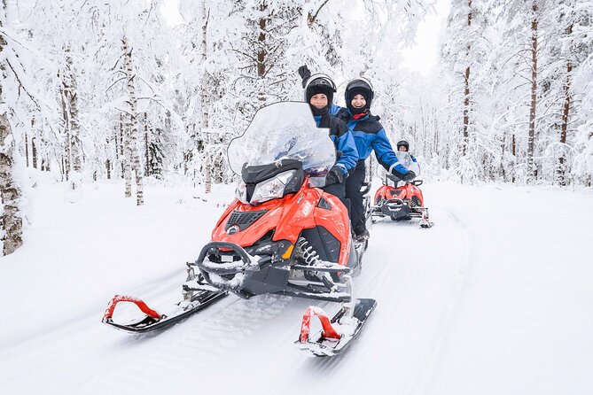2 Hours Snowmobile Safari to the Levi Nature - Key Things That Make This Safari Worth It