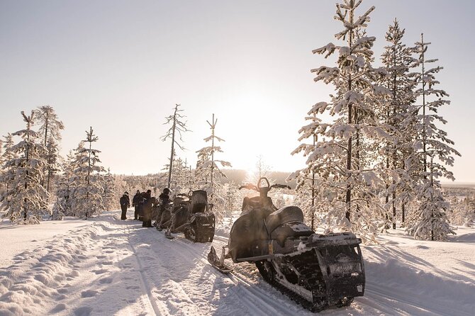 2 Hours Snowmobile Safari to the Levi Nature - How Fast Is It Really? Speed Limits and Why the Pace Feels Intentional