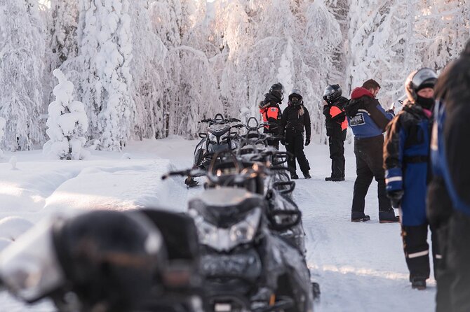 2 Hours Snowmobile Safari to the Levi Nature - The Actual Ride: Timing, Route Rhythm, and Stops That Matter